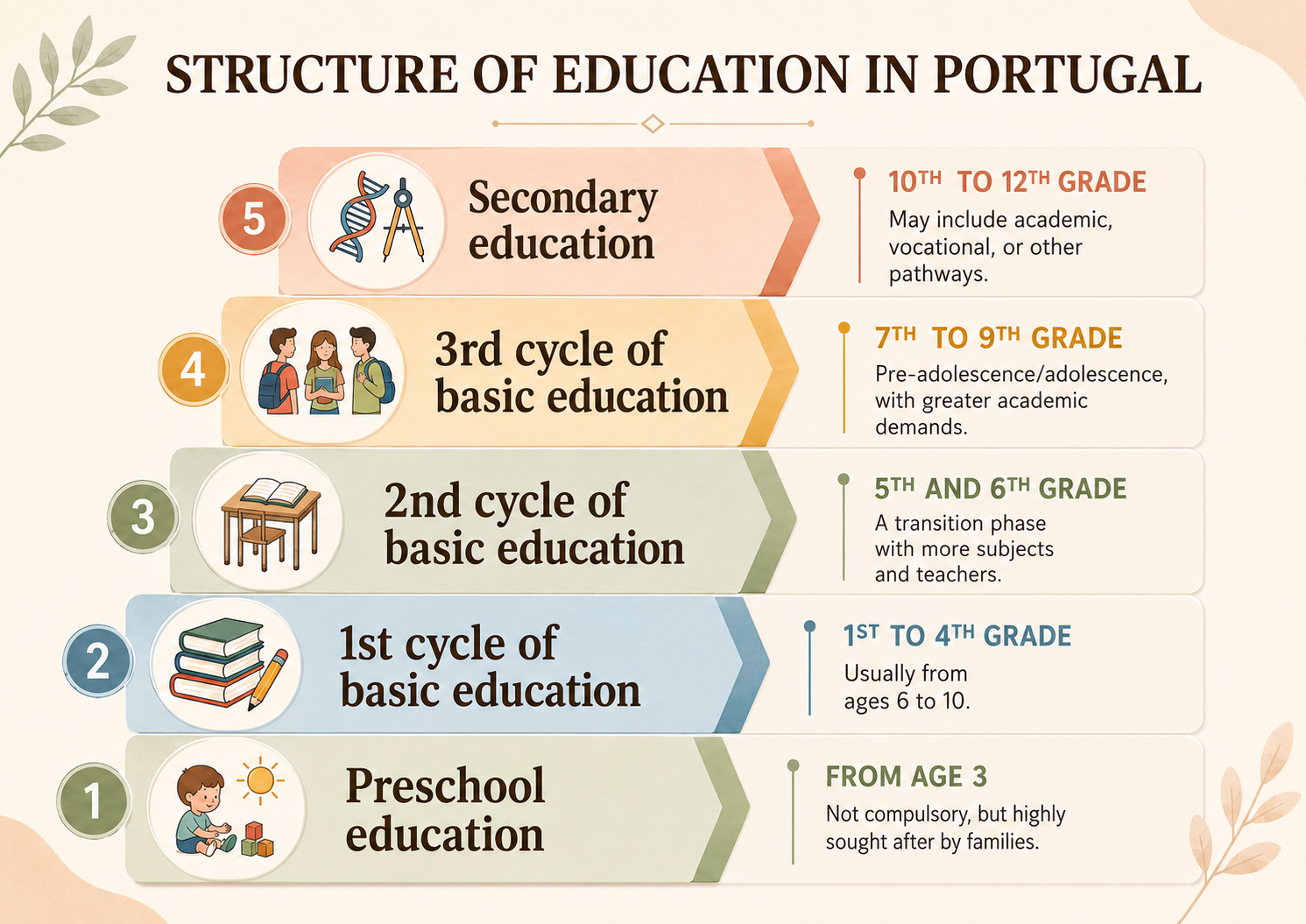 Infographic showing the structure of education in Portugal, from preschool education to secondary education, including the main school cycles and grade levels.