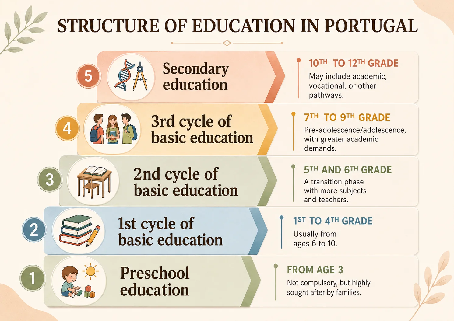 Infographic showing the structure of education in Portugal, from preschool education to secondary education, including the main school cycles and grade levels.